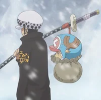 Trafalgar D Law