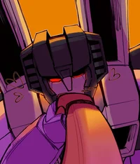 Skywarp -TF-