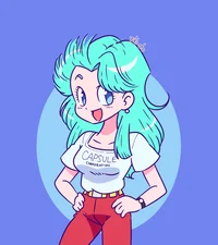 Bulma Briefs