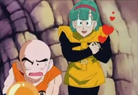Bulma and Krillin 