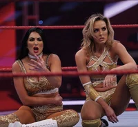 The iiconics 