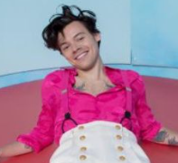 harry styles - 2022
