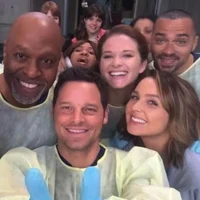 Greys anatomy 