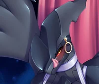 Zerki