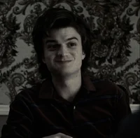 steve harrington