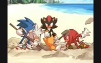 Sonic gang beach day