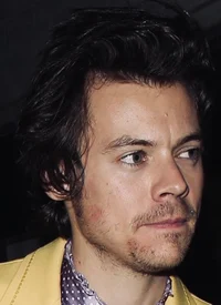 Harry styles - 2020