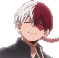 Shoto Todoroki
