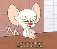 Brain
