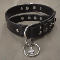 Pet Collar