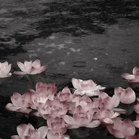 A uthor introduction