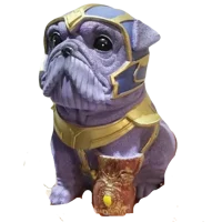 Pug Thanos