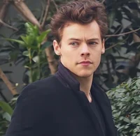 Harry Styles - 2018