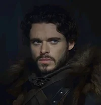 Robb The Young Wolf