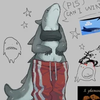 Shark Roomate