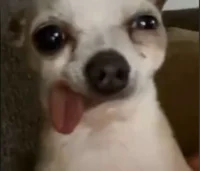 TU TAREA