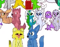 TPOT-FURRY INFECTION