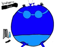 Blueberry Zorak