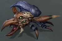 Beetle