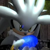 Silver t hedgehog