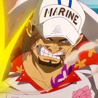 Fleet Admiral Akainu