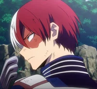 Shoto Todoroki meme