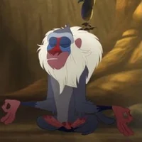 Rafiki