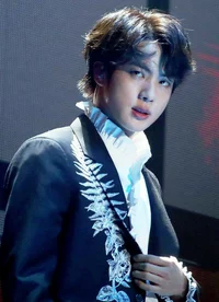 Seokjin 