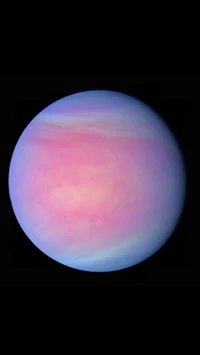 venus