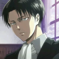 Levi