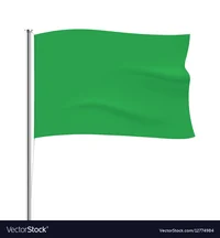 Flag System