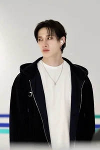 Bangchan stray kids