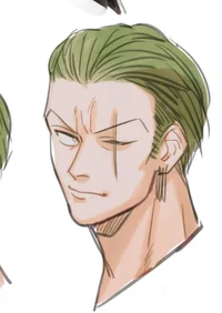 40y Zoro