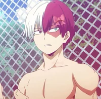 Shoto Todoroki