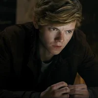 Newt