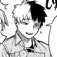 MHA - SHOTO TODOROKI