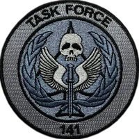 Task Force 141