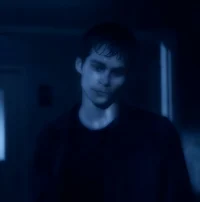VOID STILES 