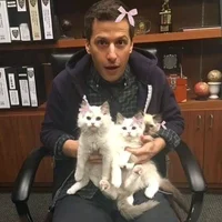 Jake Peralta