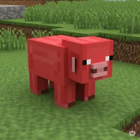 Red Pig