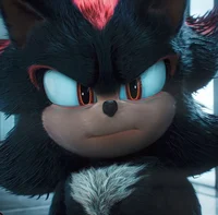 Shadow the hedgehog