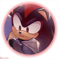 SHADOW T HEDGEHOG 