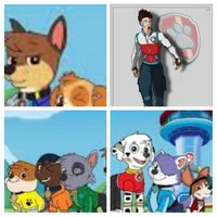 Paw patrol parents 