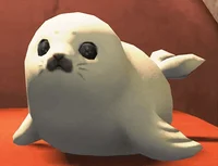 001 Alora Creep Info