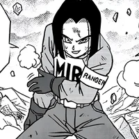 Android 17