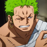 Roronoa Zoro Salvaje