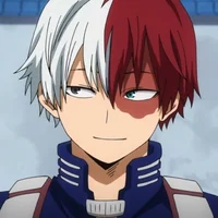 Shoto Todoroki 