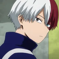 Shoto Todoroki -MHA-