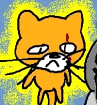 20- sphelonious donk