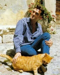 Morrisey 
